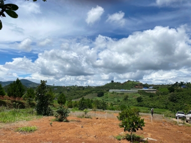 133m2 nam ha
