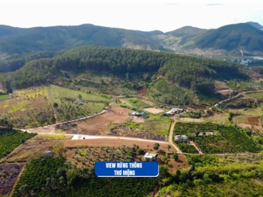 139m2 gia lam