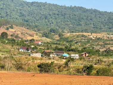 155m2 dong thanh
