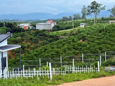 236m2 mat tien duong nhua nam ha